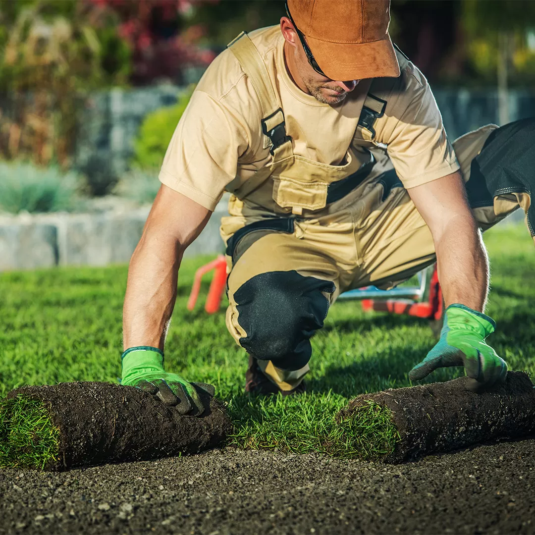 Lansing MI Commercial Lawn Maintenance Services