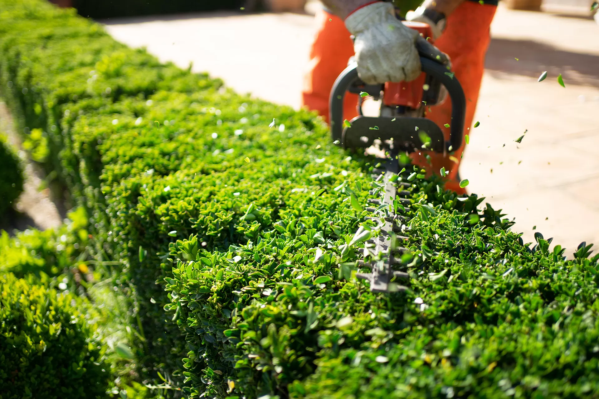 Residential And Commercial Landscaping In Sterling Heights Mi