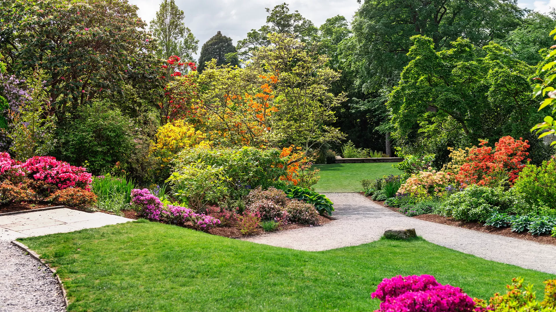 Commercial Lawn Maintenance Company Near Me