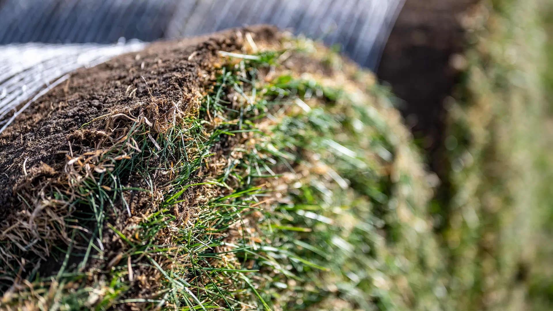 Commercial Fertilization And Hydroseeding Company Near You