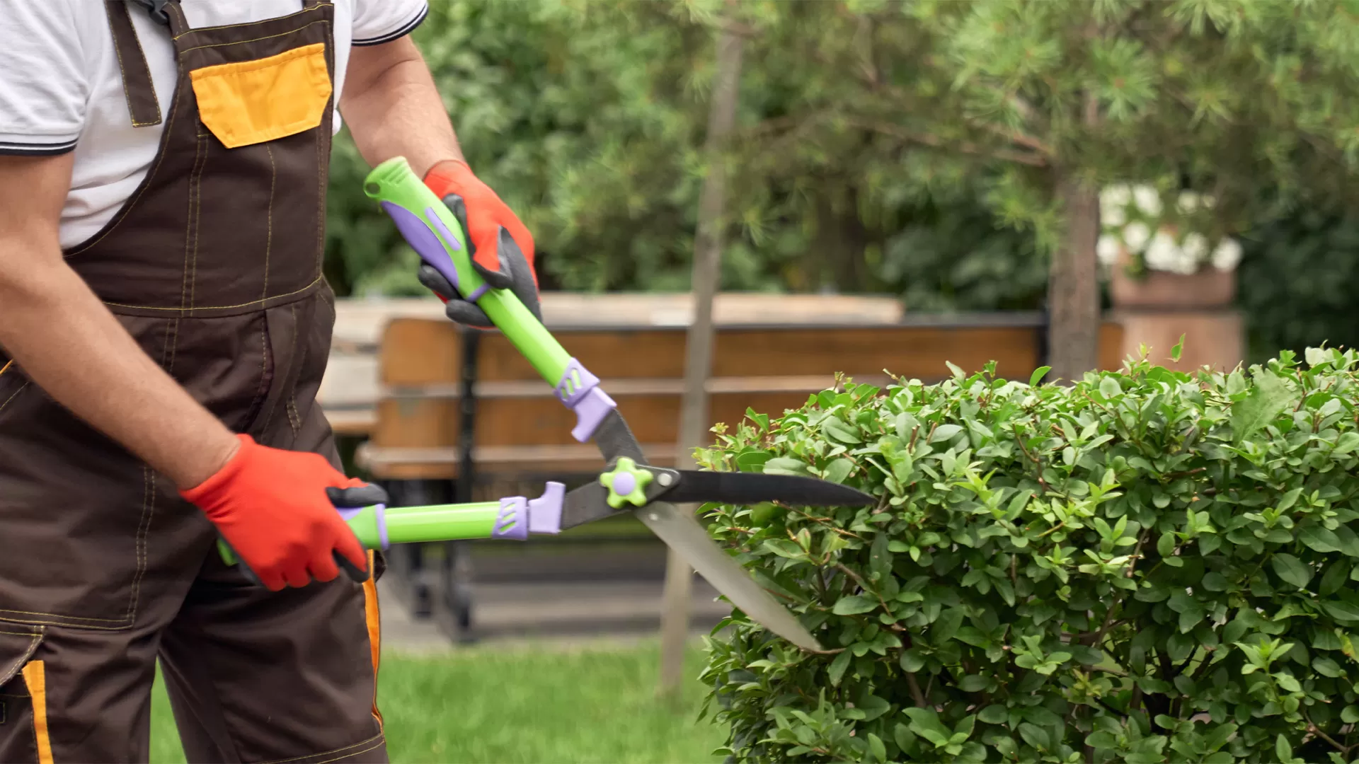 Commercial Landscaper Maintenance Company In Southeast Michigan