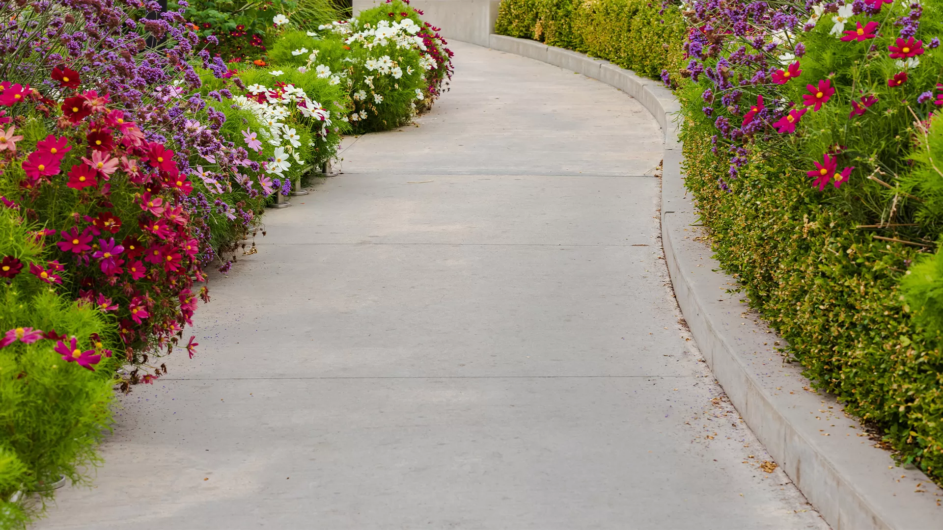 Commercial Patios And Walkways Landscaping Company Near Me