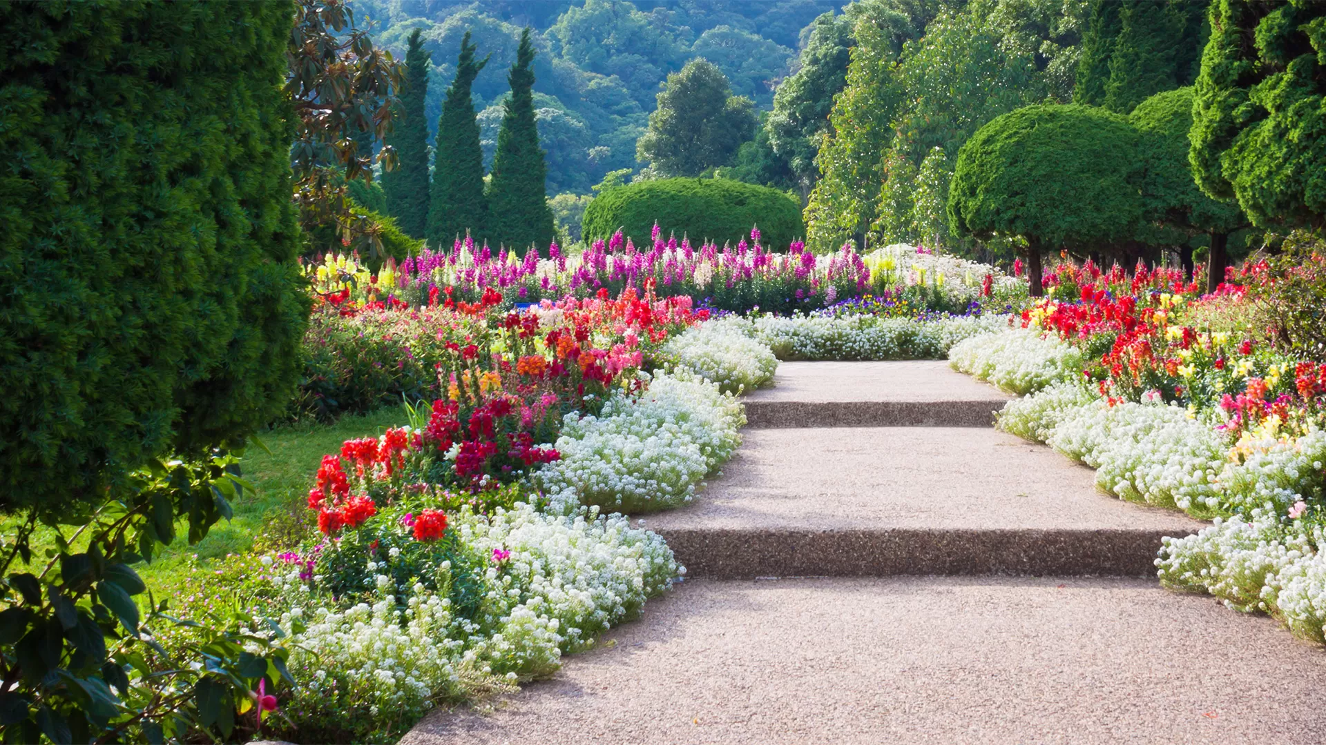 Full Service Commercial Landscaping Company Near Me