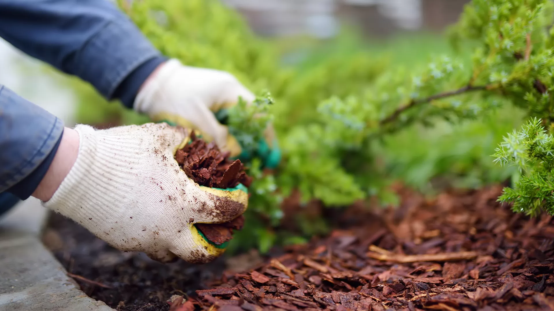 Residential Horticultural Services Company In Southeast Michigan