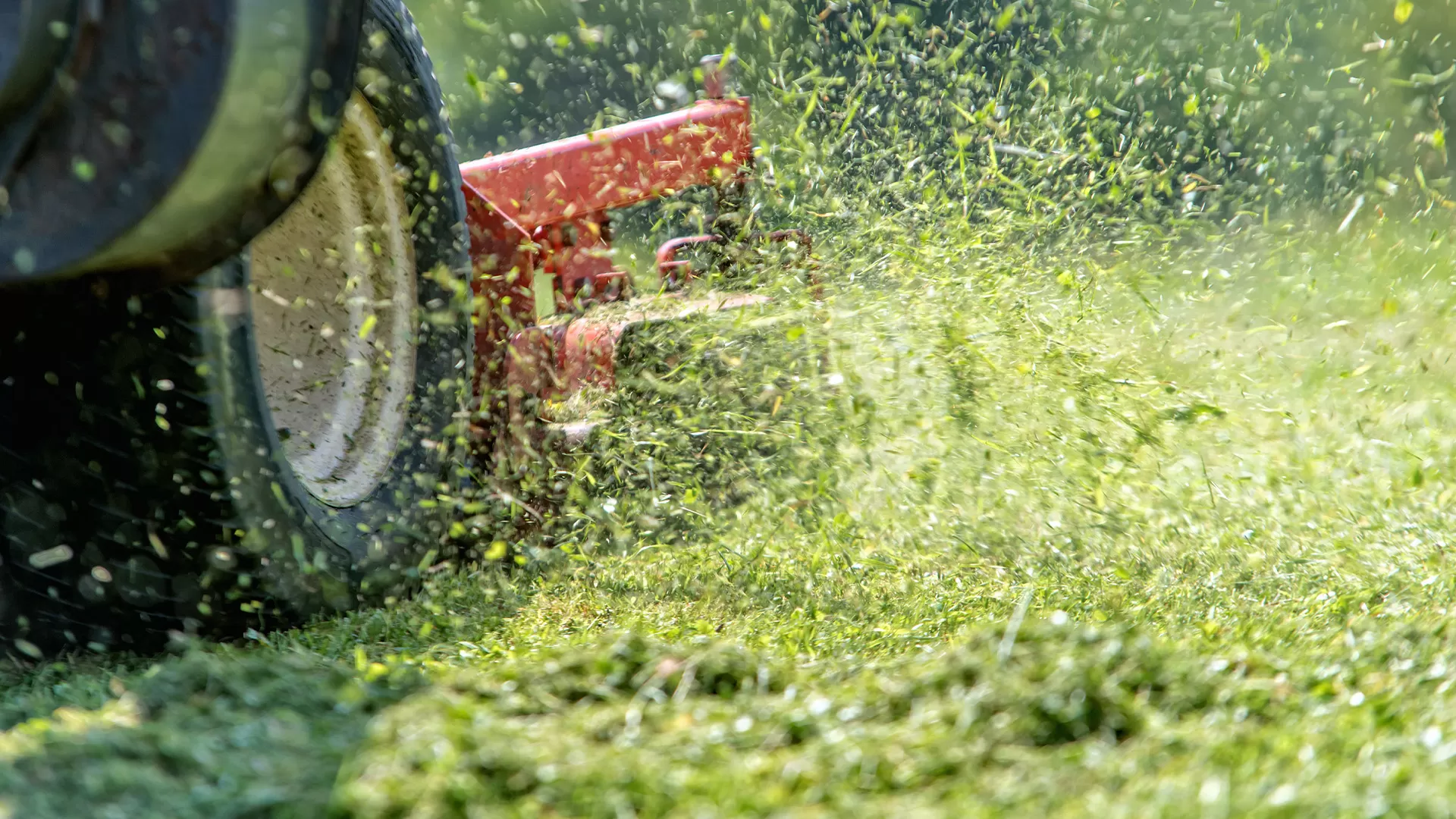 Residential Lawn Maintenance Company Near Me