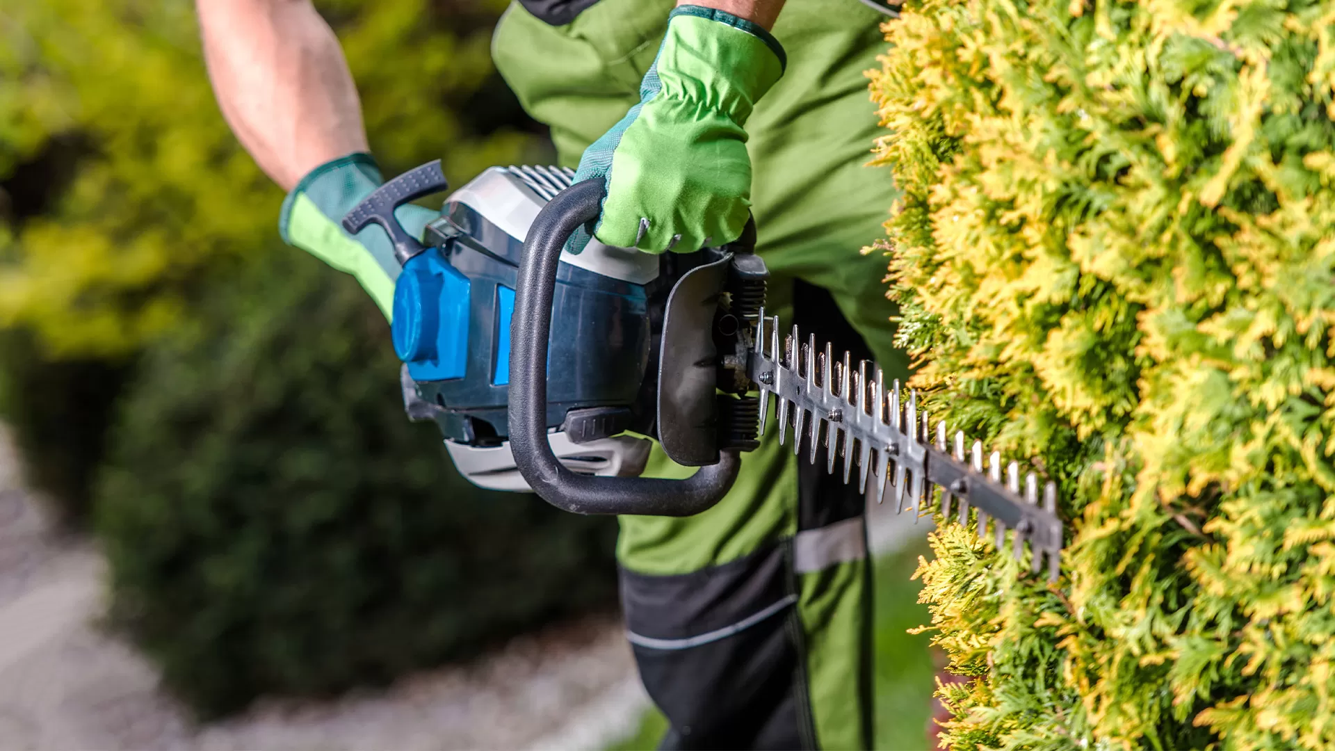 Residential Shrub And Tree Services Company Near You