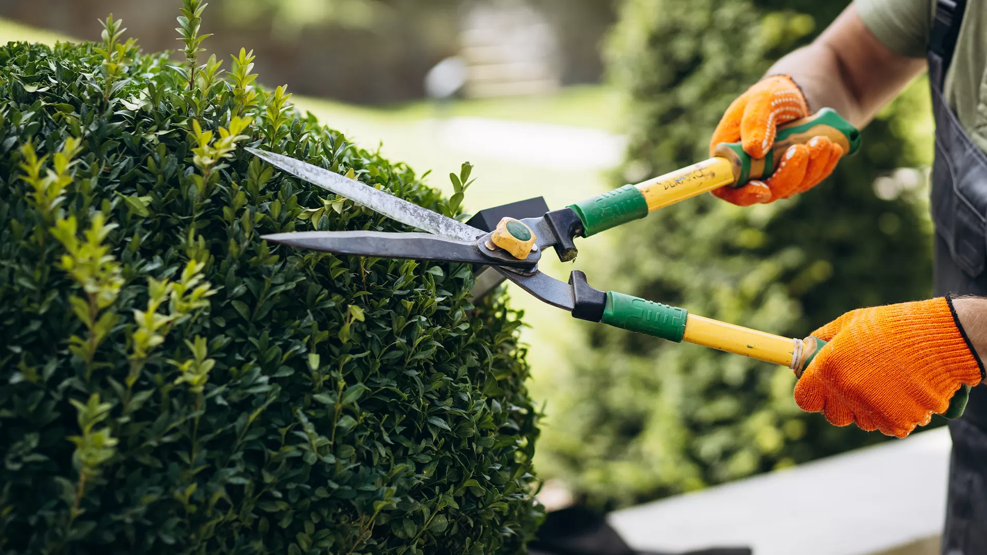 Southeast Mi Commercial Landscapers