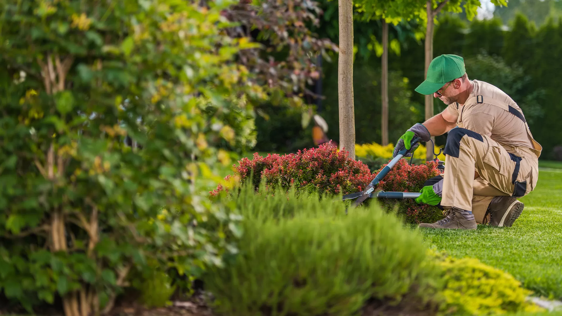 Commercial Landscape Design Contractor Southeast Mi