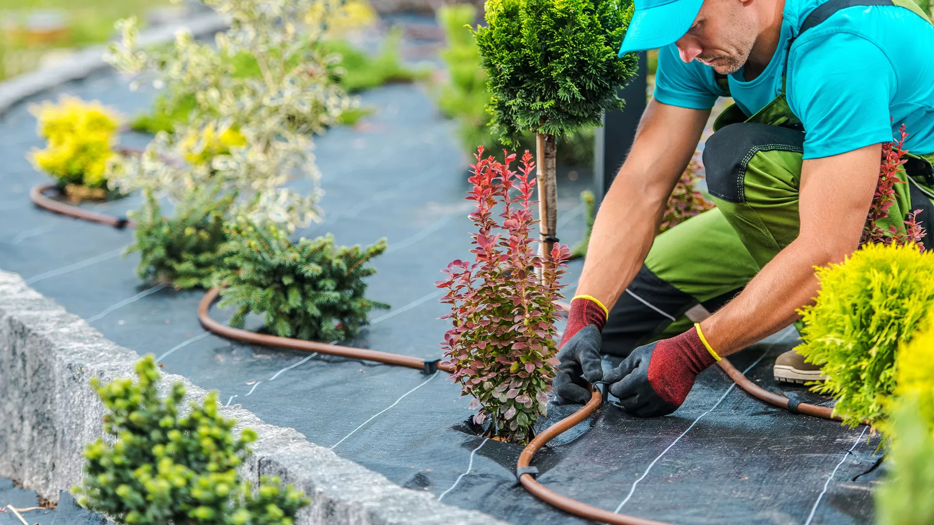 Southeast Michigan Irrigation System Maintenance Company