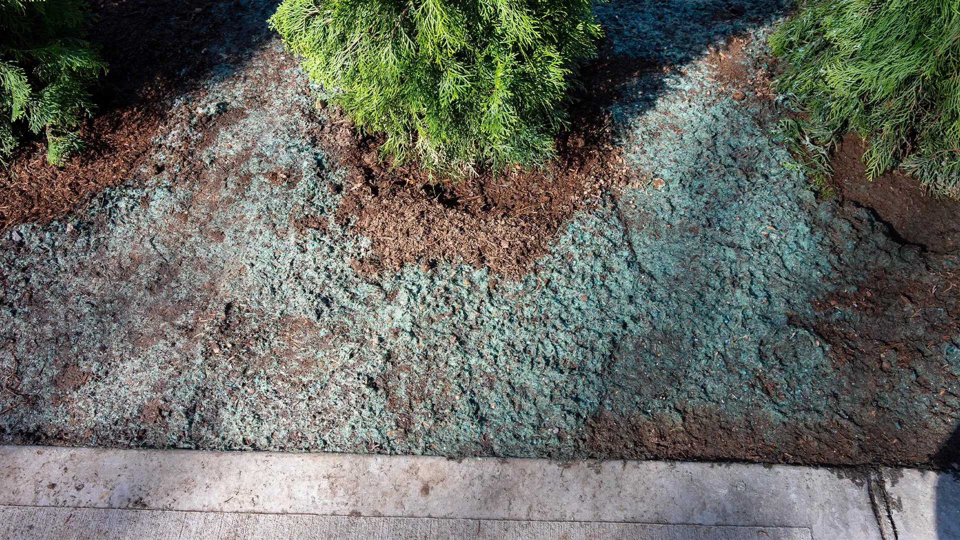 Southeast Michigan Residential Fertilization And Hydroseeding Company