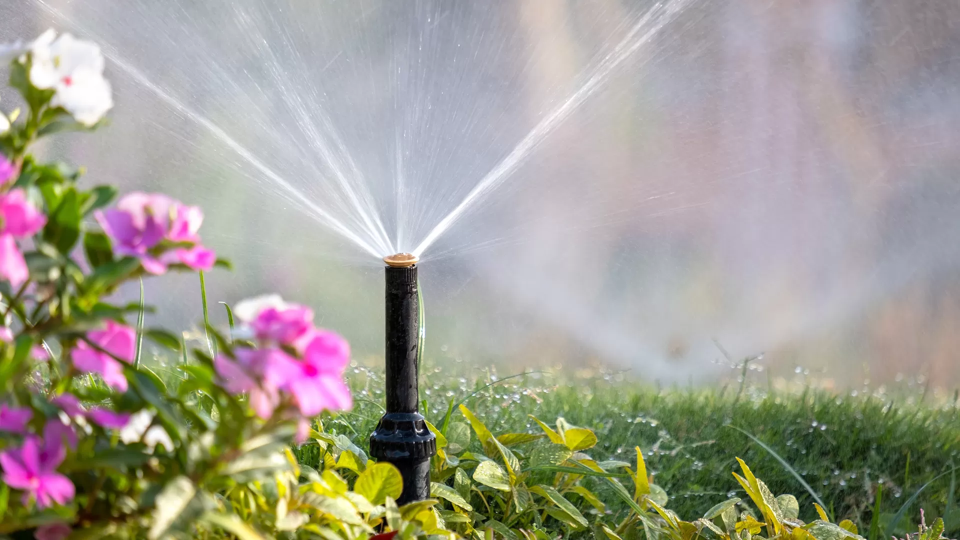 Southeast Michigan Residential Sprinkler Design And Installation Company