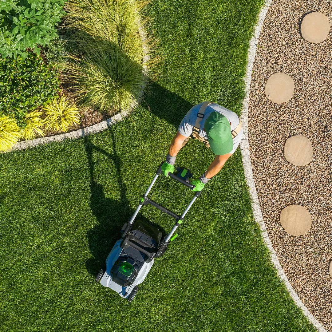 Residential Lawn Maintenance Services In Southeast Mi