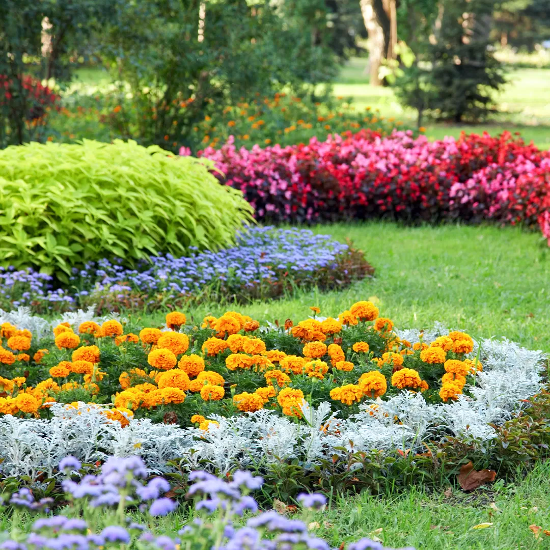 Southeast Mi Residential Landscaping Contractor